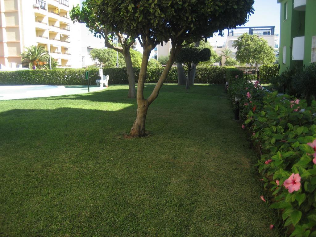 Los Juncos Apartamentos - Solo Familias Олива Экстерьер фото