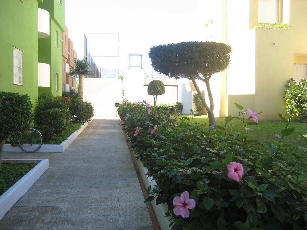 Los Juncos Apartamentos - Solo Familias Олива Экстерьер фото